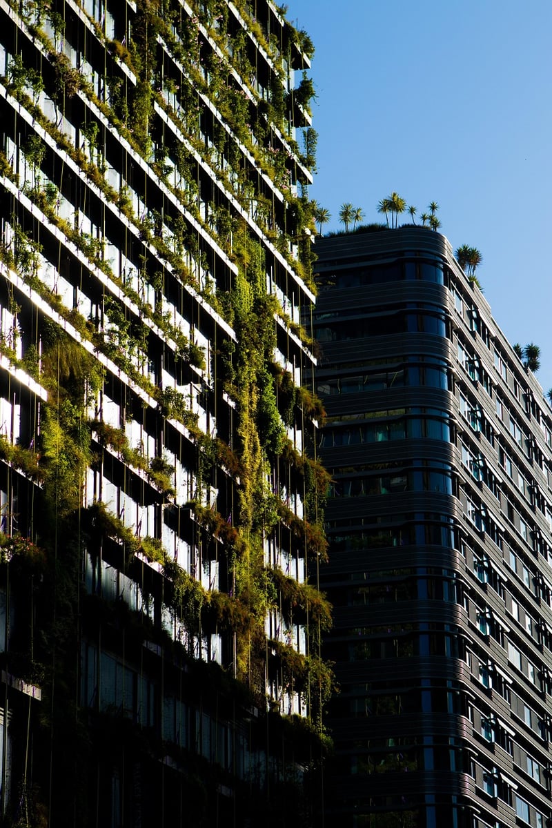 Hanging Plant Garden
